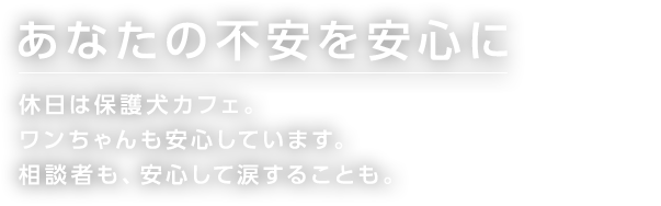 あなたの不安を安心に 休日は保護犬カフェ。 ワンちゃんも安心しています。 相談者も、安心して涙することも。