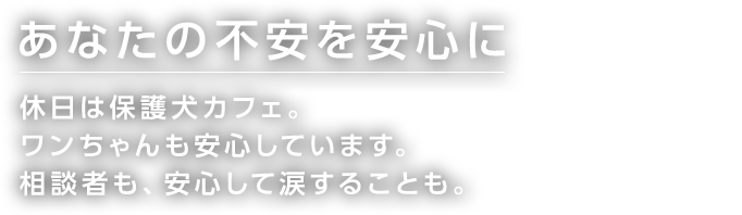 あなたの不安を安心に 休日は保護犬カフェ。 ワンちゃんも安心しています。 相談者も、安心して涙することも。